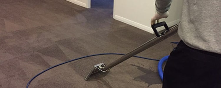 Expert End of Lease Carpet Cleaning Evandale