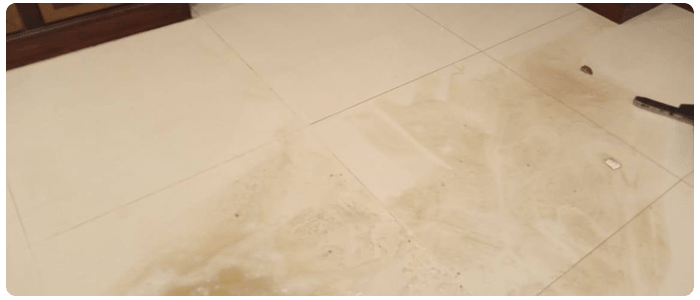 5 Best Methods to Clean Tiles at Home