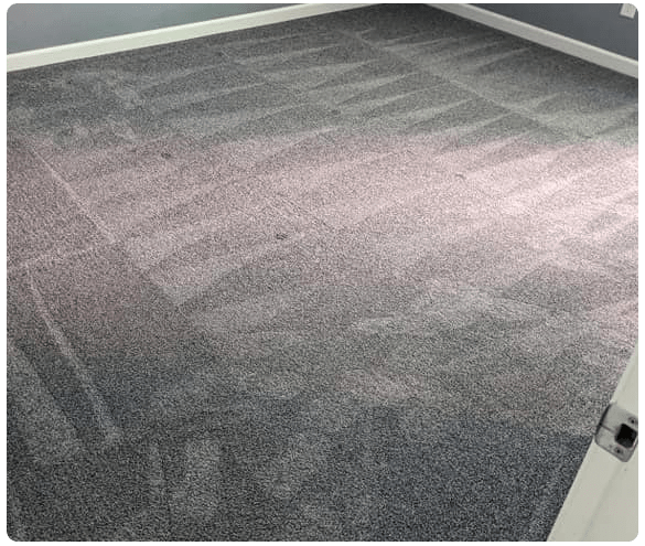 Best Carpet Cleaning Evandale